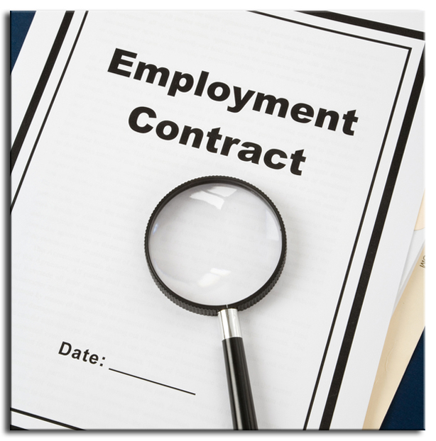Employment Contract